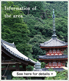 Information of the area