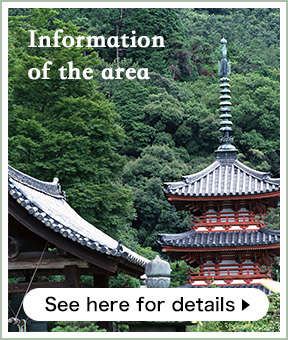 Information of the area