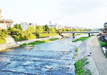 Kamogawa River