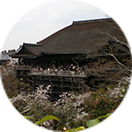 Kiyomizu Temple